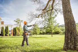 Best Leaf Removal  in Soh Jordan, UT